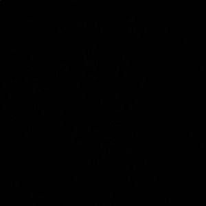 Meet your Posher, Gyanni